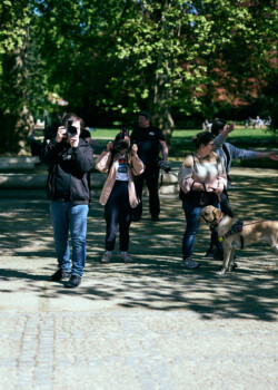 040 ( z6a5040) ig 1350px